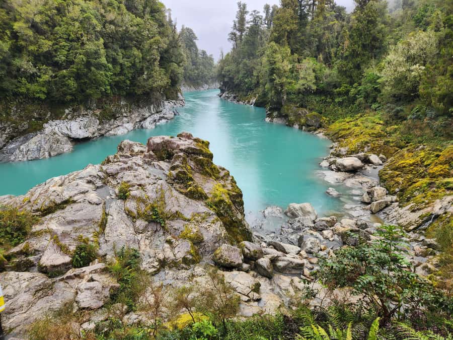 Greymouth: Hokitika Gorge and Tree Top Walkway Half-Day Tour - Is $122 good value?