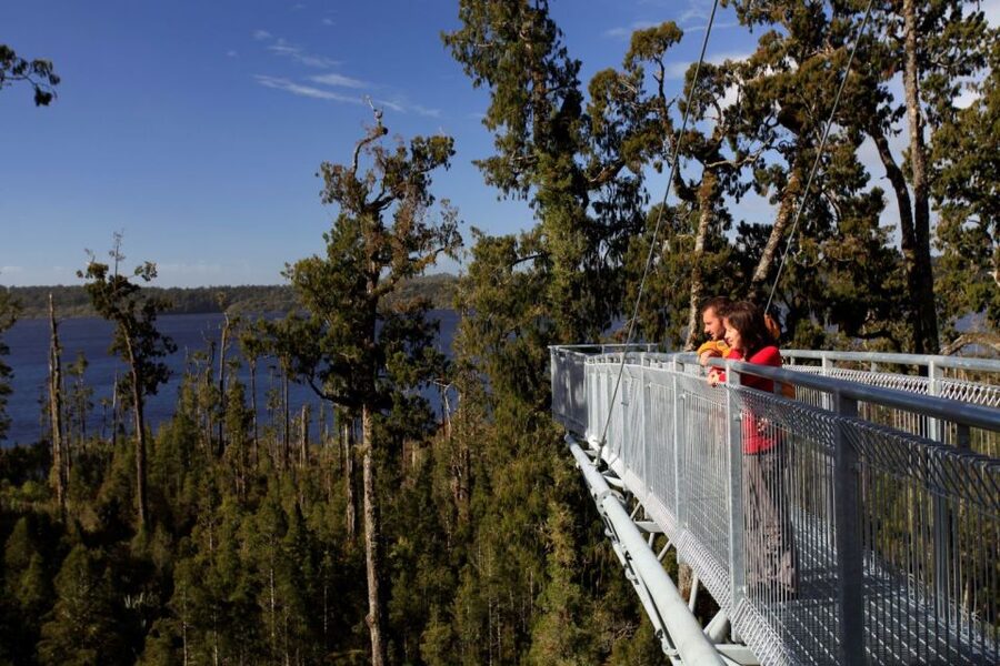 Greymouth: Hokitika Gorge and Tree Top Walkway Half-Day Tour - Should you book the Hokitika Gorge and Tree Top Walkway tour?