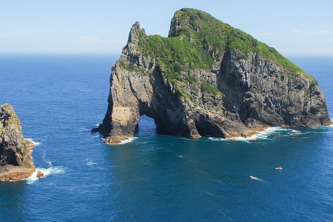 Group tour to Bay of Islands return from Auckland - Why this Bay of Islands day trip is worth the long ride