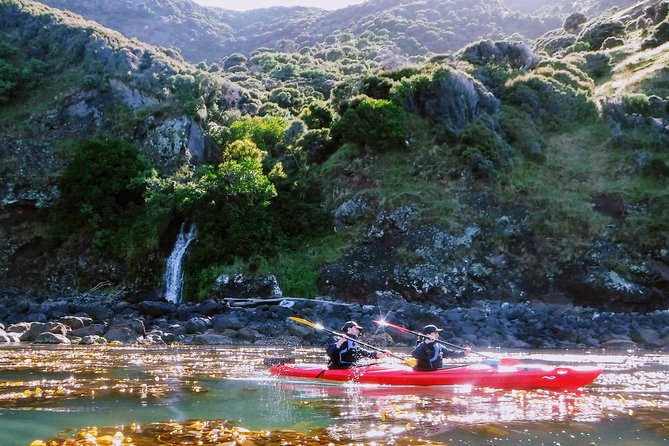 Guided Electric Mountain Bike & Sea Kayak Tour in Akaroa - Riding from sea level toward the crater summit