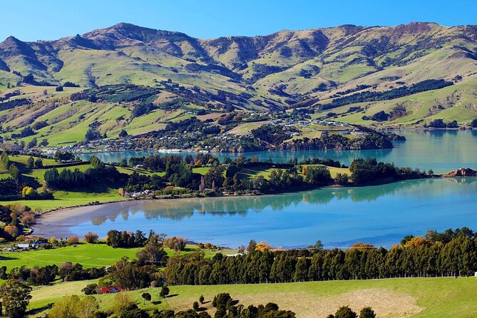 Guided Electric Mountain Bike Tour- Akaroa Explorer - What the guide adds to the ride