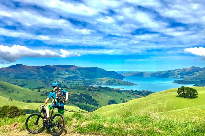 Guided Electric Mountain Bike Tour- Akaroa Explorer - Is the $96.19 price good value?