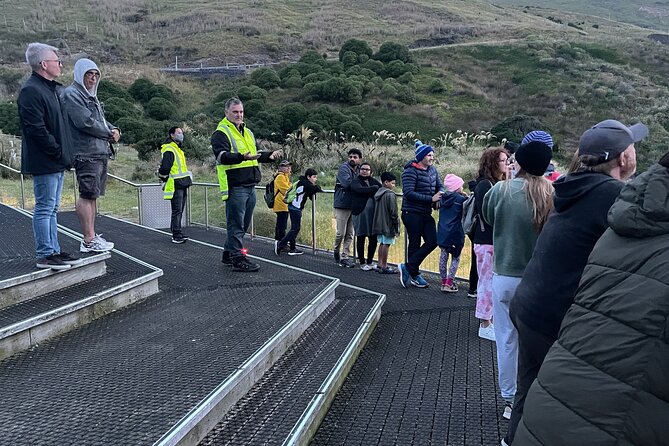 Guided Evening Penguin Viewing Otago Peninsula, Dunedin, New Zealand - What the cold and wind really mean