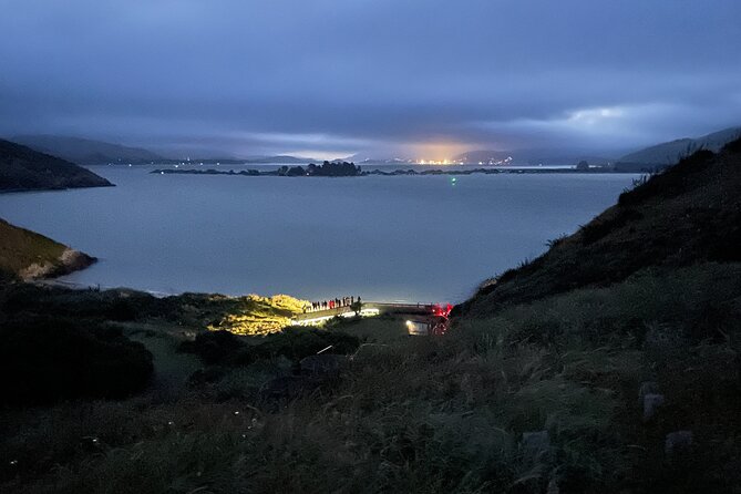 Guided Evening Penguin Viewing Otago Peninsula, Dunedin, New Zealand - The 300-metre walk to the viewing platform