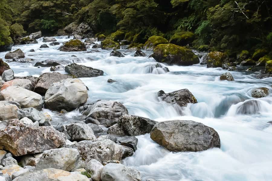 Guided Private Milford Sound Day Tour from Te Anau(Cruise In - Why the private Tesla changes the Milford Sound day