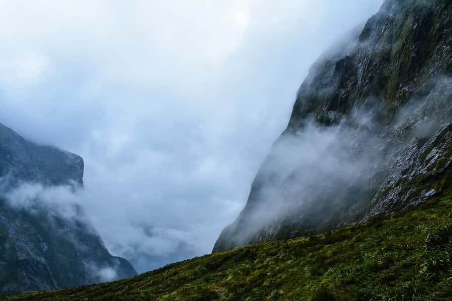 Guided Private Milford Sound Day Tour from Te Anau(Cruise In - The stops are a major part of the value