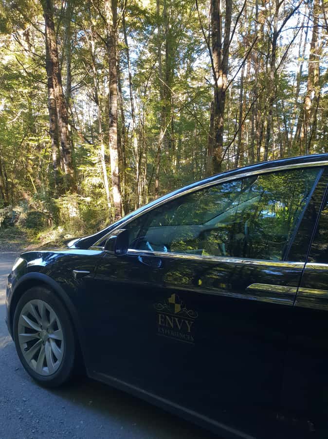 Guided Private Milford Sound Day Tour from Te Anau(Cruise In - What the guides add to the day