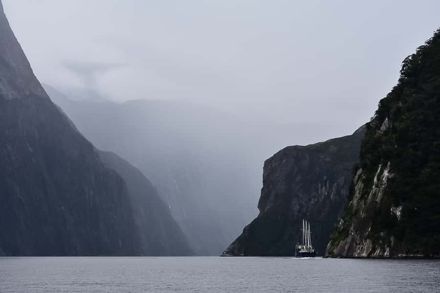 Guided Private Milford Sound Day Tour from Te Anau(Cruise In - Who will enjoy this more than a standard group tour?