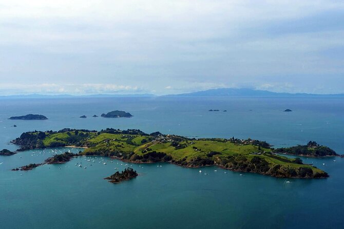 Guided Snorkeling and Island Exploration in Auckland - Why Tiritiri Matangi works so well for a half-day outing