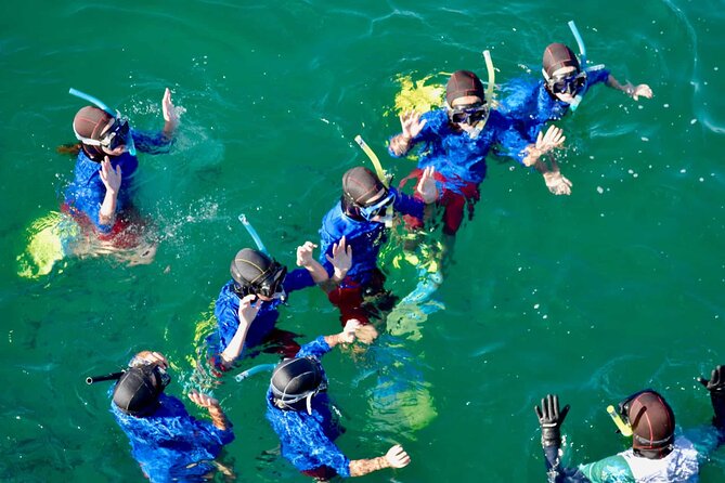 Guided Snorkeling and Island Exploration in Auckland - What the guide adds to the experience