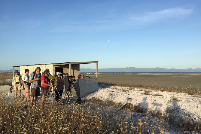 Guided Tour at Pukorokoro Shorebird Centre - Why the tides shape your visit