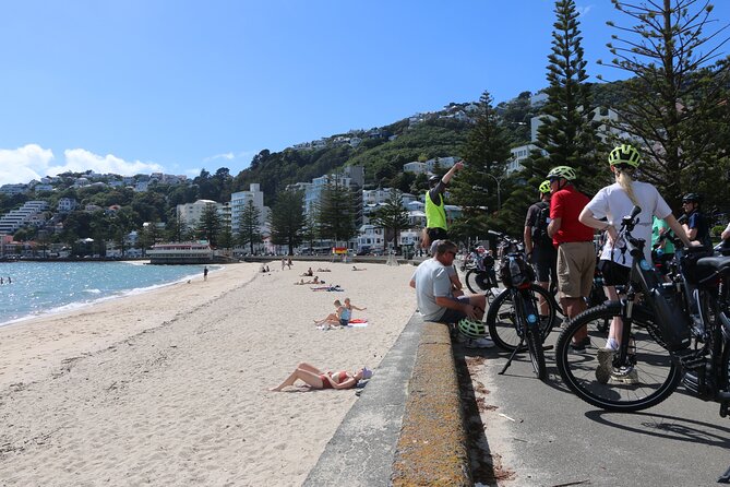 Guided Wellington Tour by Electric Bike - Hataitai Beach, coffee, and the coastal ride