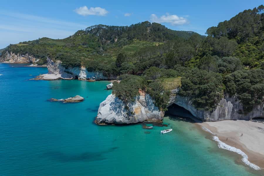 Hahei Explorer Cathedral Cove Boat Tour - Marine reserve views and fish sightings