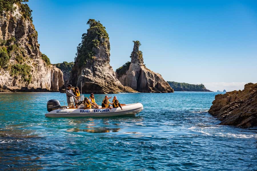 Hahei Explorer Cathedral Cove Boat Tour - Is $86 a fair price for one hour?