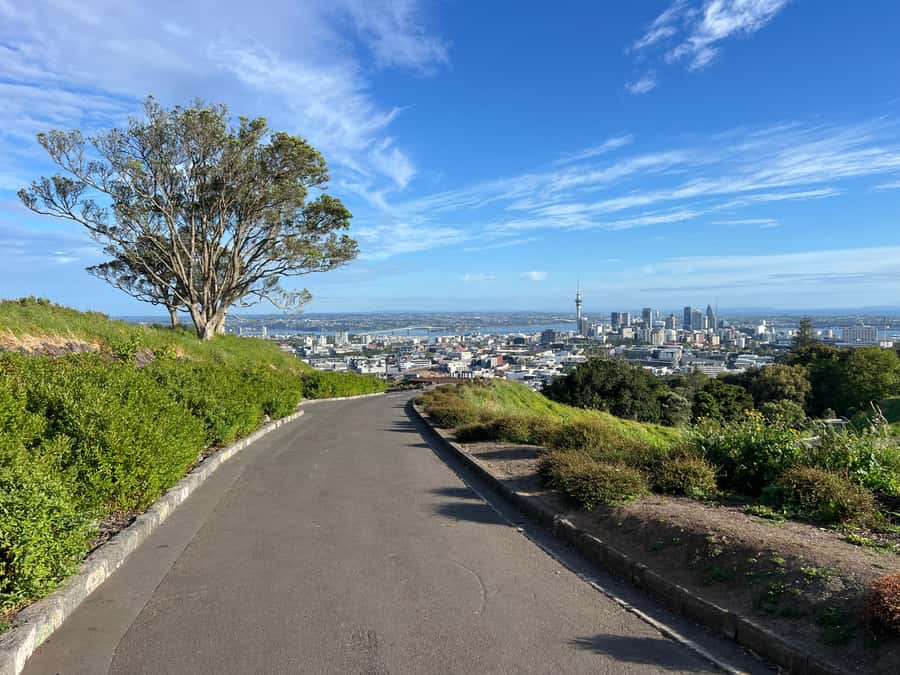 Half-Day Auckland City Highlights Tour with Hotel Pickup - A quick way to understand Auckland