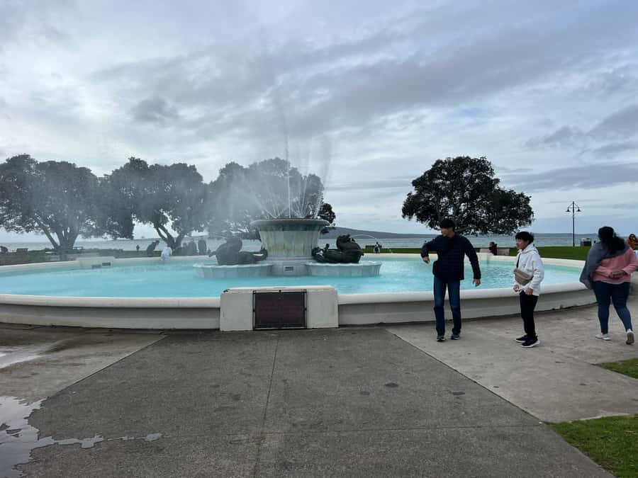 Half-Day Auckland City Highlights Tour with Hotel Pickup - Mount Eden and the 360-degree view