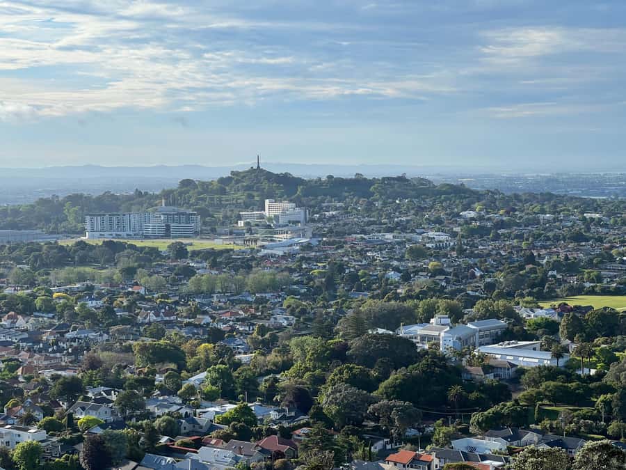 Half-Day Auckland City Highlights Tour with Hotel Pickup - How the $89 price holds up
