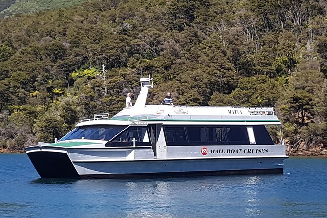 Half-Day Cruise in Marlborough Sounds from Picton - What This Picton Cruise Really Is