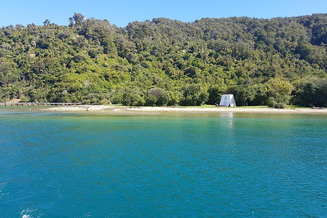 Half-Day Cruise in Marlborough Sounds from Picton - Commentary, Captains, and the Human Side