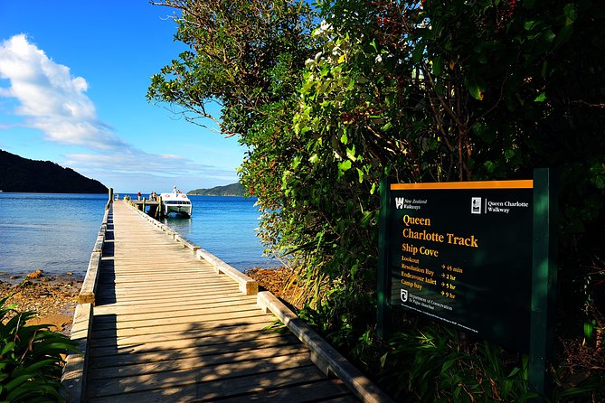 Half-Day Cruise in Marlborough Sounds from Picton - Wildlife Watching Without Guarantees