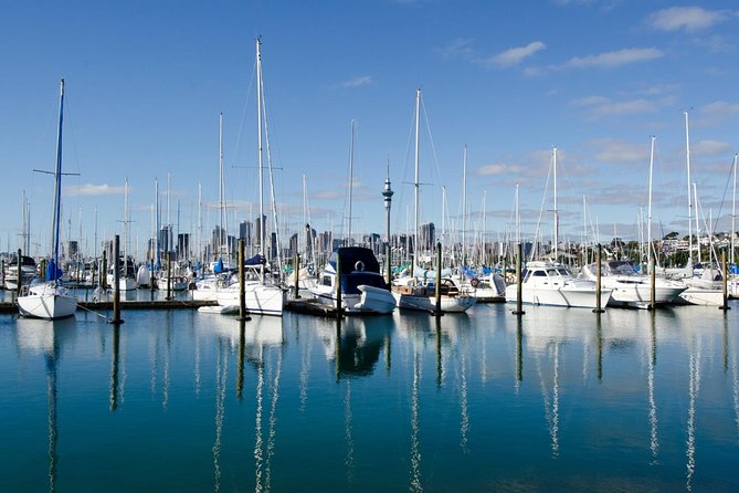 Half-day Discover Auckland City Sightseeing Tour - Ponsonby shows Auckland’s local side