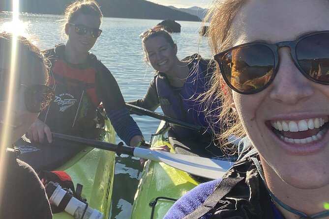 Half-Day Guided Sea Kayak Trip from Picton - Key points to know before booking