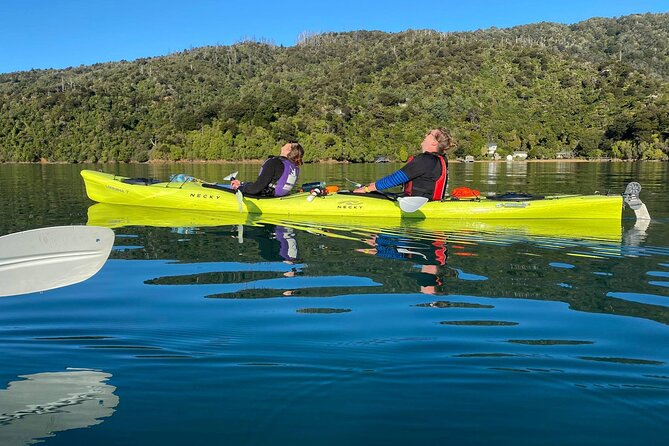 Half-Day Guided Sea Kayak Trip from Picton - Ngakuta Bay and the van ride back