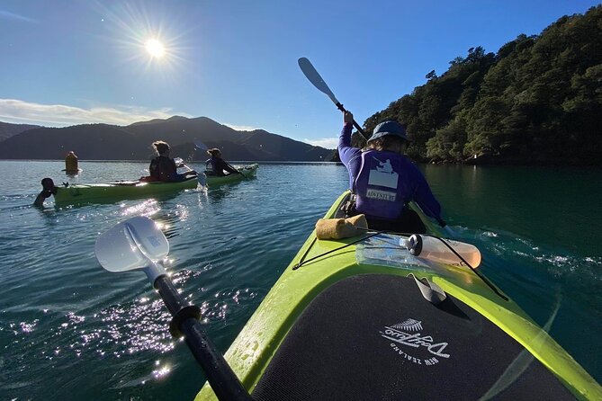 Half-Day Guided Sea Kayak Trip from Picton - Weather and cancellation details that matter