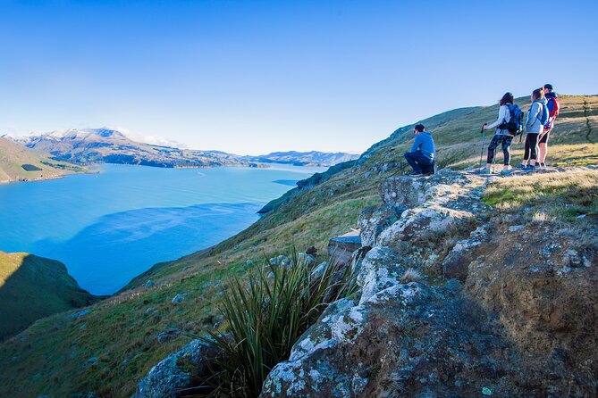 Half Day Guided Walking Tour on Banks Peninsula - The short ride from Christchurch to Banks Peninsula