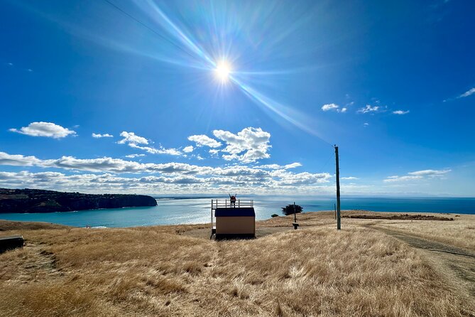 Half Day Luxury Private Guided Crater Rim Walk - Walking the Awaroa and Godley Head coast