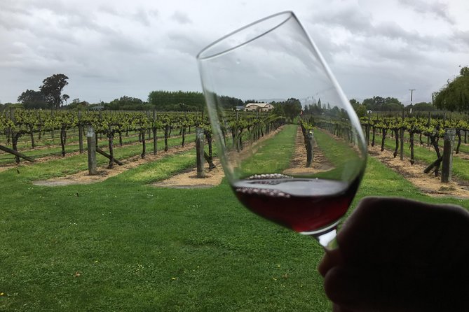Half-Day Marlborough Wine Tour & Beer Tour - Hunter’s adds gardens and outdoor tasting space