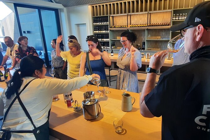 Half Day Martinborough Winery Tour from Wellington - Comfort, safety, and the practical details