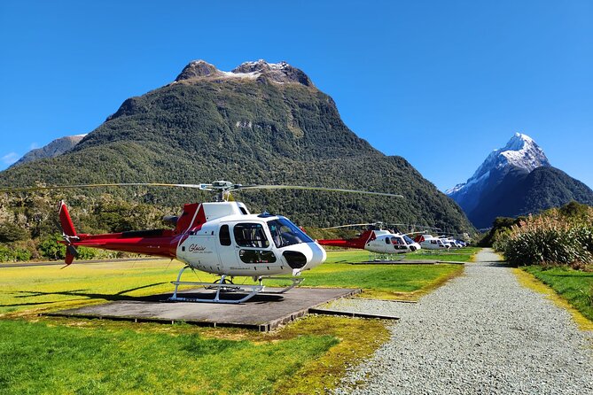 Half-Day Milford Helicopter Flight and Cruise from Queenstown - The glacier or alpine landing in Fiordland