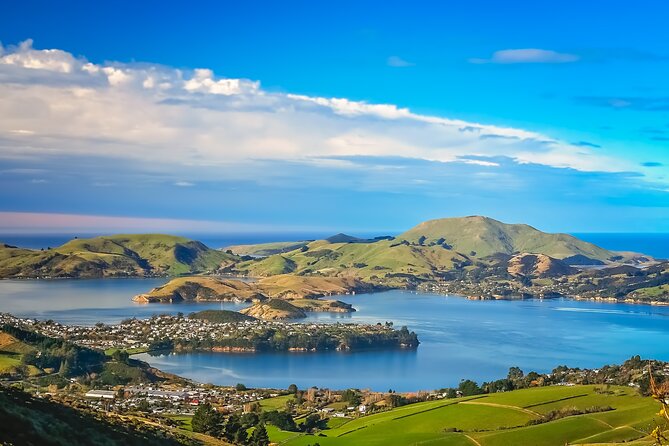 Half-Day Private City, Sights & Wildlife Tours - Dunedin Railway Station in a ten-minute photo stop