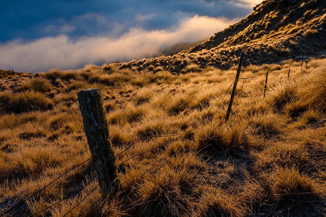 Half-Day Queenstown Photography Tour - Should you book the Queenstown photography tour?