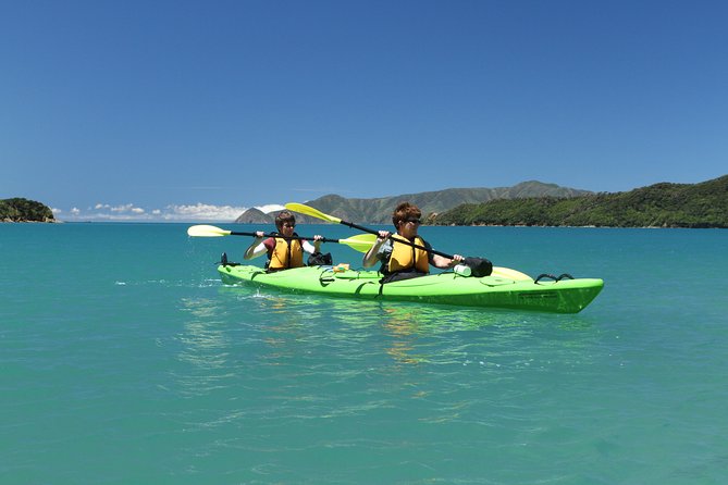 Half day Sea Kayak Guided Tour from Picton - Starting from Picton and entering the sound