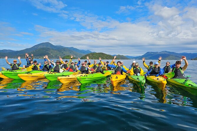 Half day Sea Kayak Guided Tour from Picton - Wildlife you can spot from the kayak