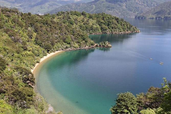 Half day Sea Kayak Guided Tour from Picton - Stories about Picton, nature, and the water