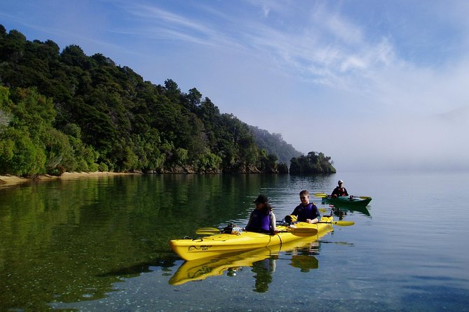 Half day Sea Kayak Guided Tour from Picton - How hard is the paddling?