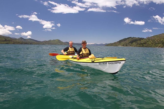 Half day Sea Kayak Guided Tour from Picton - Equipment, comfort, and what to bring