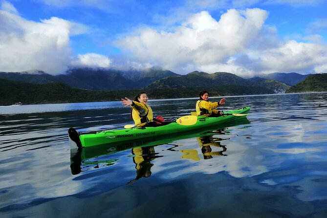 Half day Sea Kayak Guided Tour from Picton - Who will enjoy this most?