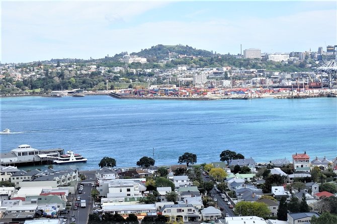 Half-Day: Small Group Auckland Scenic Tour - 4 HOURS - Remuera, Parnell, and Auckland’s social history