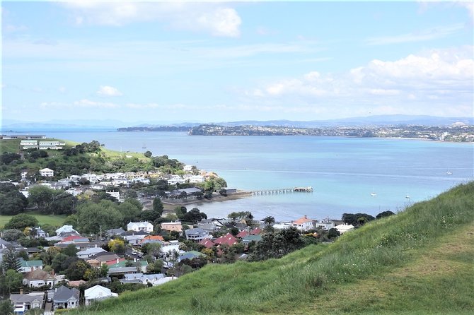 Half-Day: Small Group Auckland Scenic Tour - 4 HOURS - What the minibus format adds