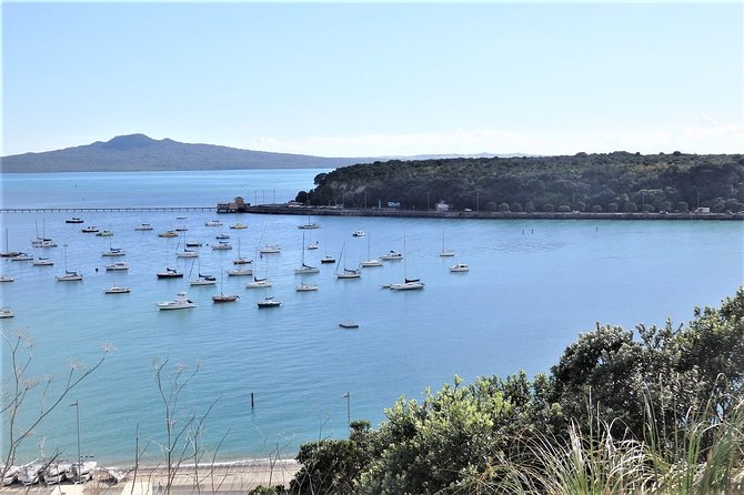 Half-Day: Small Group Auckland Scenic Tour - 4 HOURS - North Head: tunnels, guns, and harbor views
