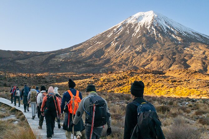 Half Day Tongariro Alpine Guided Group Walk - Why the Soda Springs walk works so well