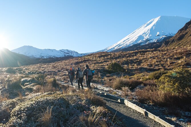 Half Day Tongariro Alpine Guided Group Walk - What the price of $222.79 includes