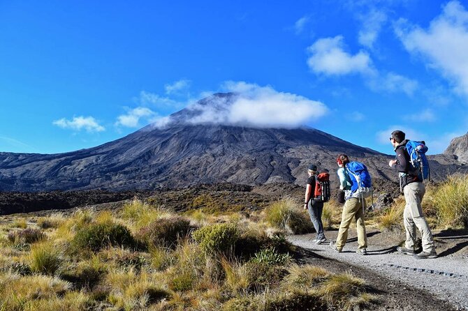 Half Day Tongariro Alpine Guided Group Walk - Safety, weather, and the honest drawbacks