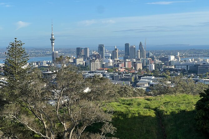 Half-Day Tour: AUCKLAND CITY Highlights with Hotel Pickup - A quick Auckland orientation in three hours