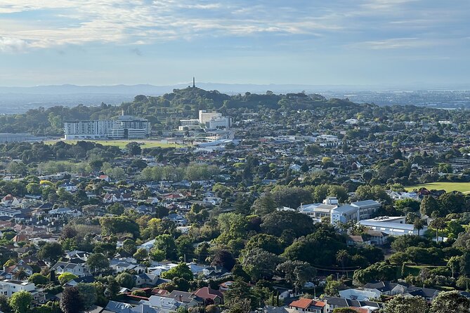 Half-Day Tour: AUCKLAND CITY Highlights with Hotel Pickup - From the Sky Tower to the Harbour Bridge