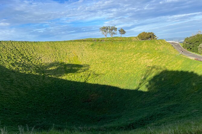 Half-Day Tour: AUCKLAND CITY Highlights with Hotel Pickup - What the guide adds to the experience